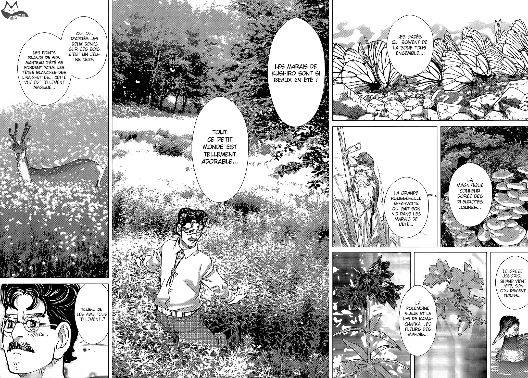 Read Golden Kamuy FRANCAIS Manga Online