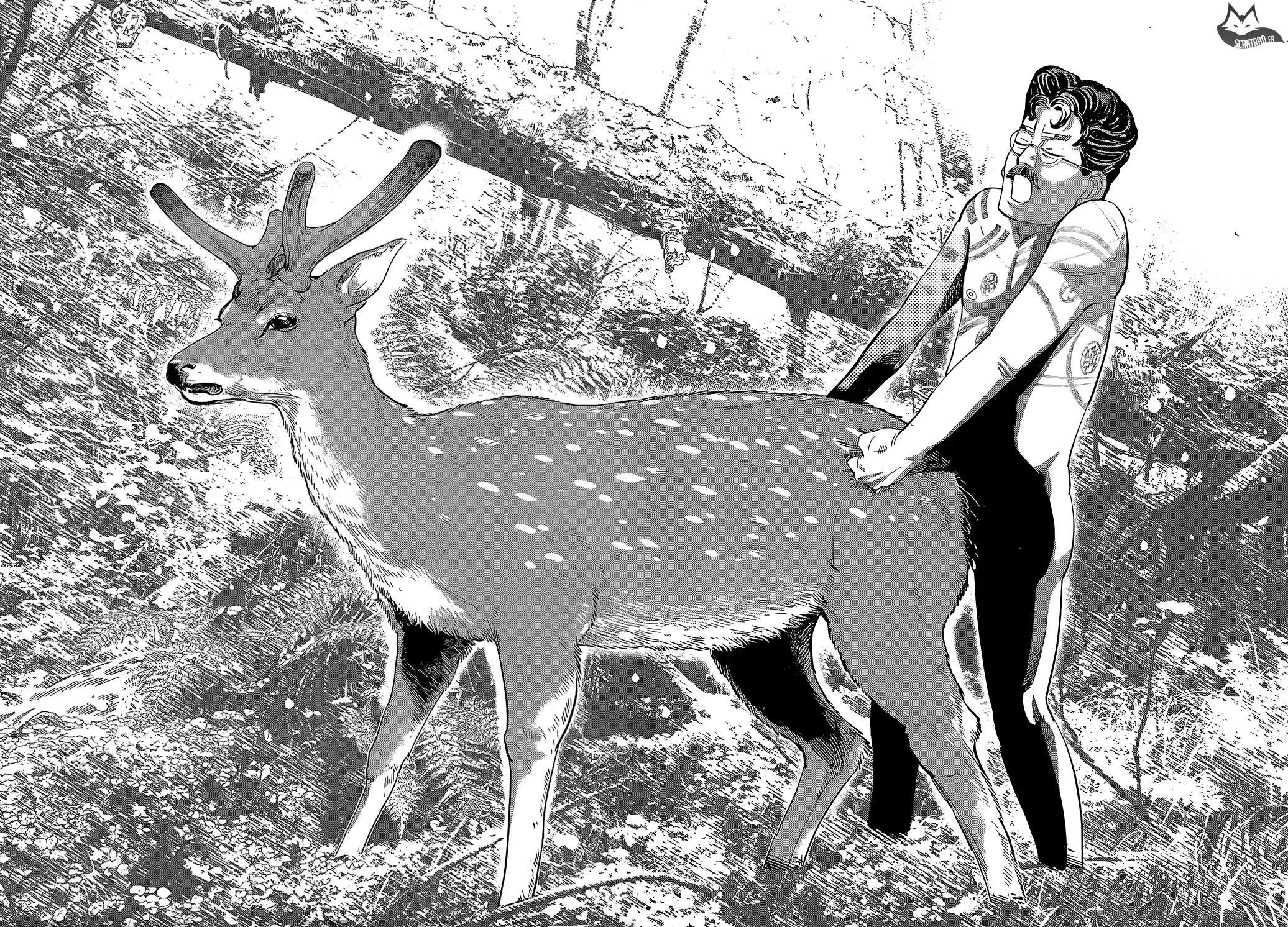 Read Golden Kamuy FRANCAIS Manga Online