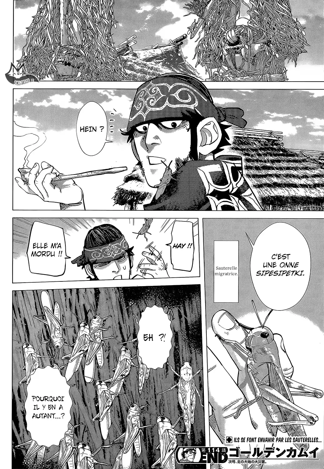 Read Golden Kamuy FRANCAIS Manga Online