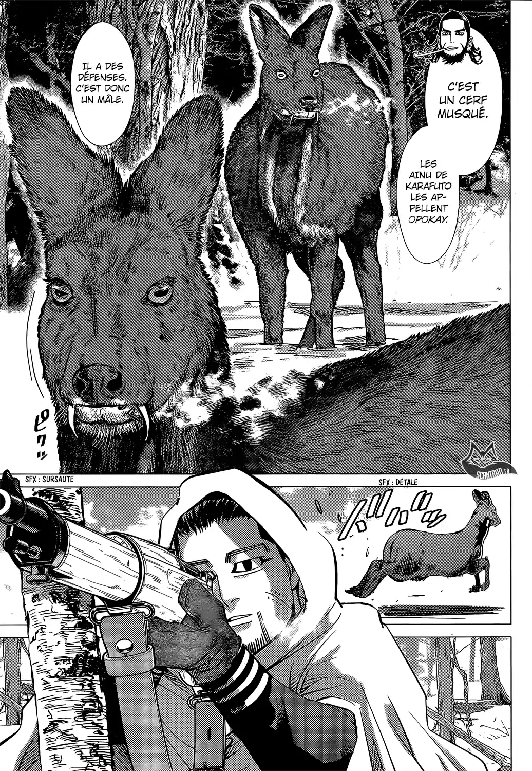 Read Golden Kamuy FRANCAIS Manga Online