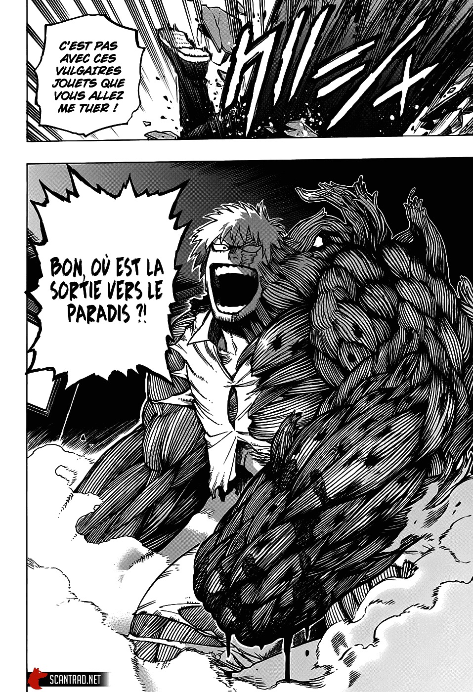 Read My Hero Academia FRANCAIS Manga Online