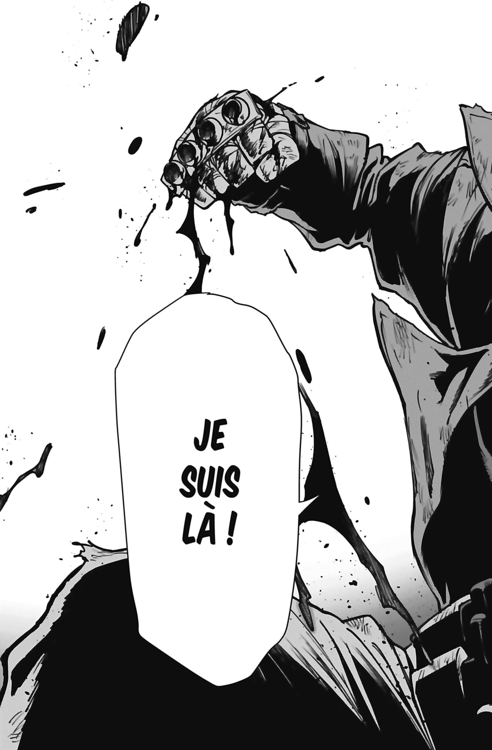 Read My Hero Academia Vigilantes FRANCAIS Manga Online