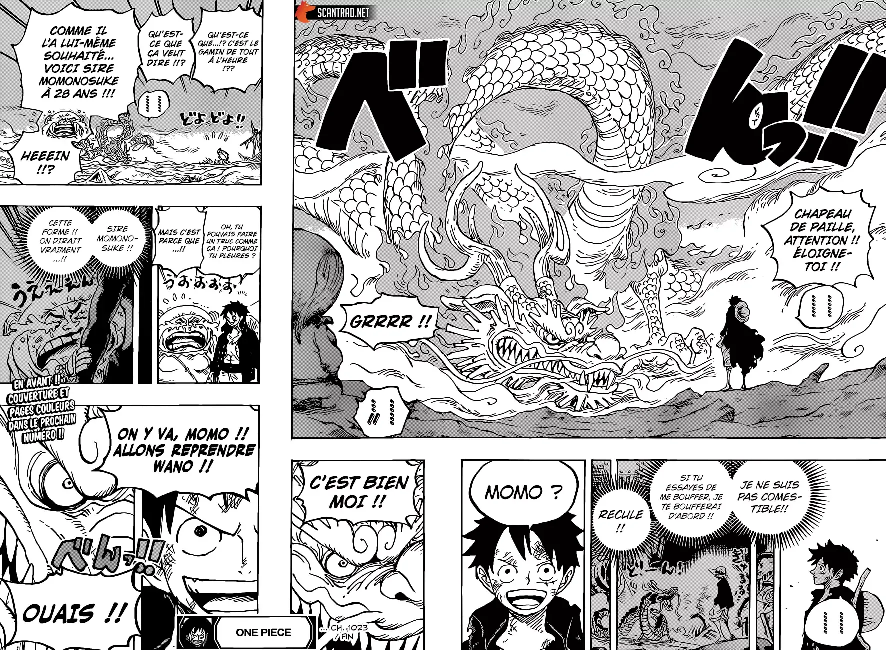 Read One Piece FRANCAIS Manga Online