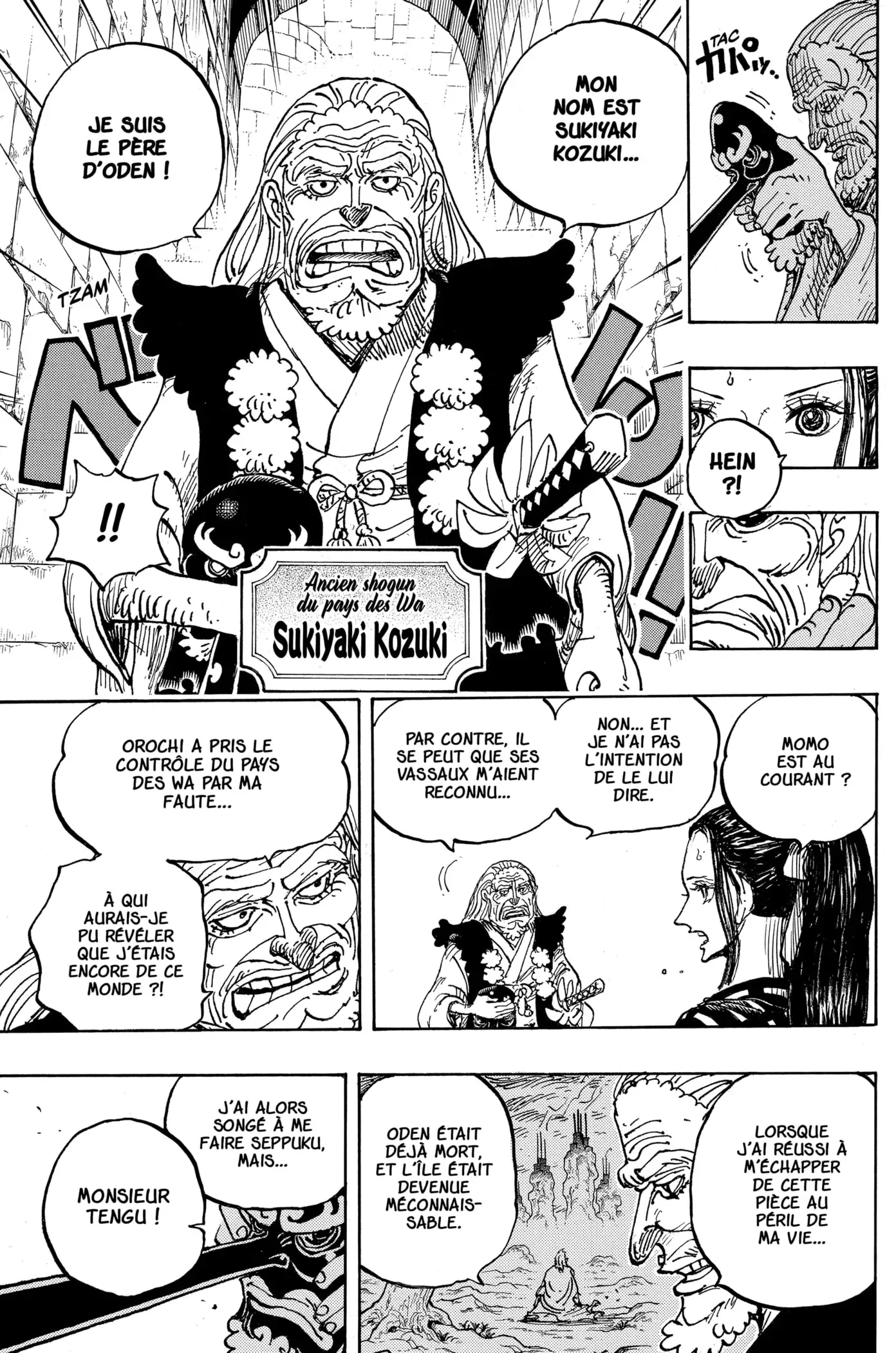Read One Piece FRANCAIS Manga Online