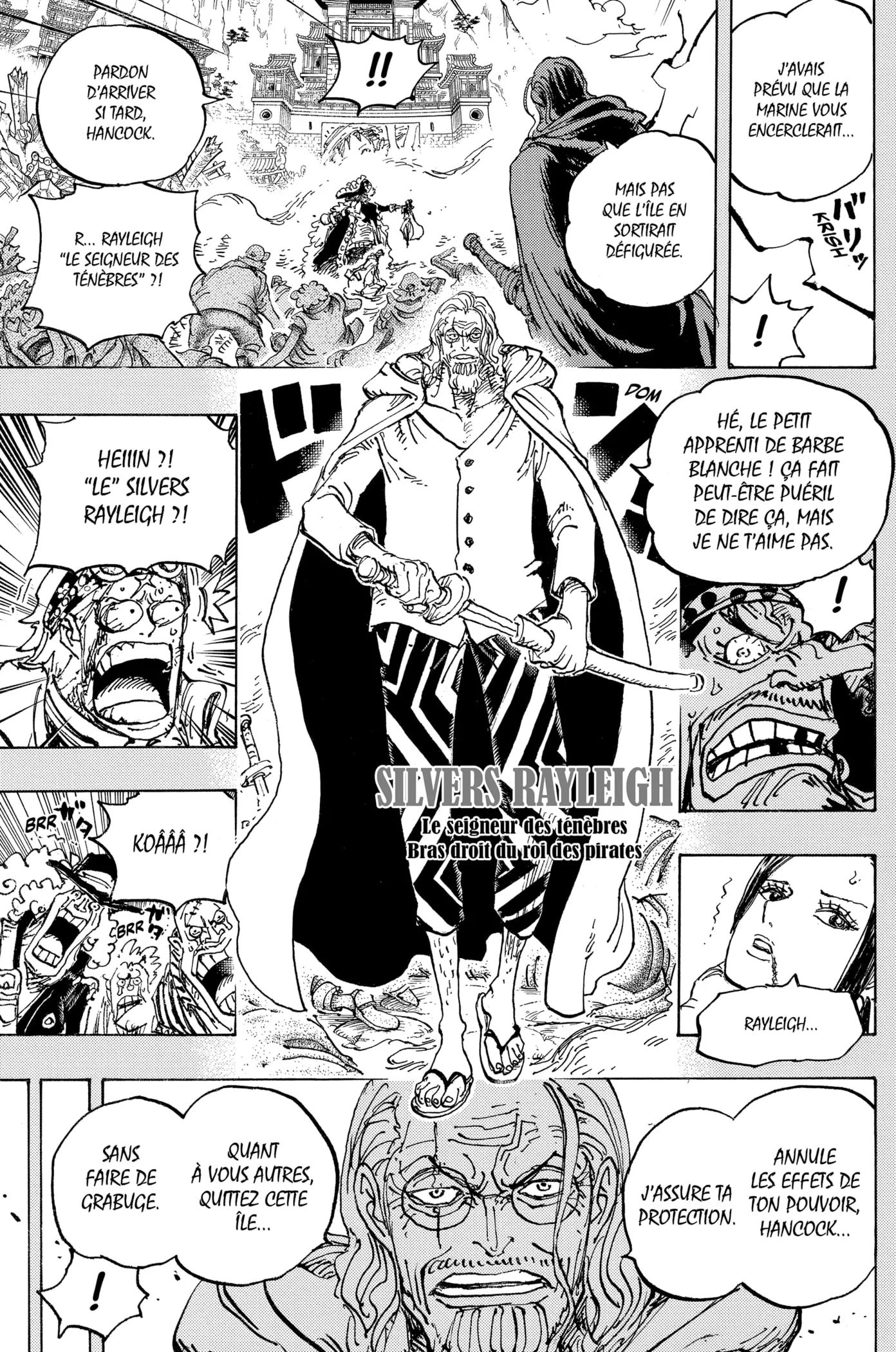 Read One Piece FRANCAIS Manga Online