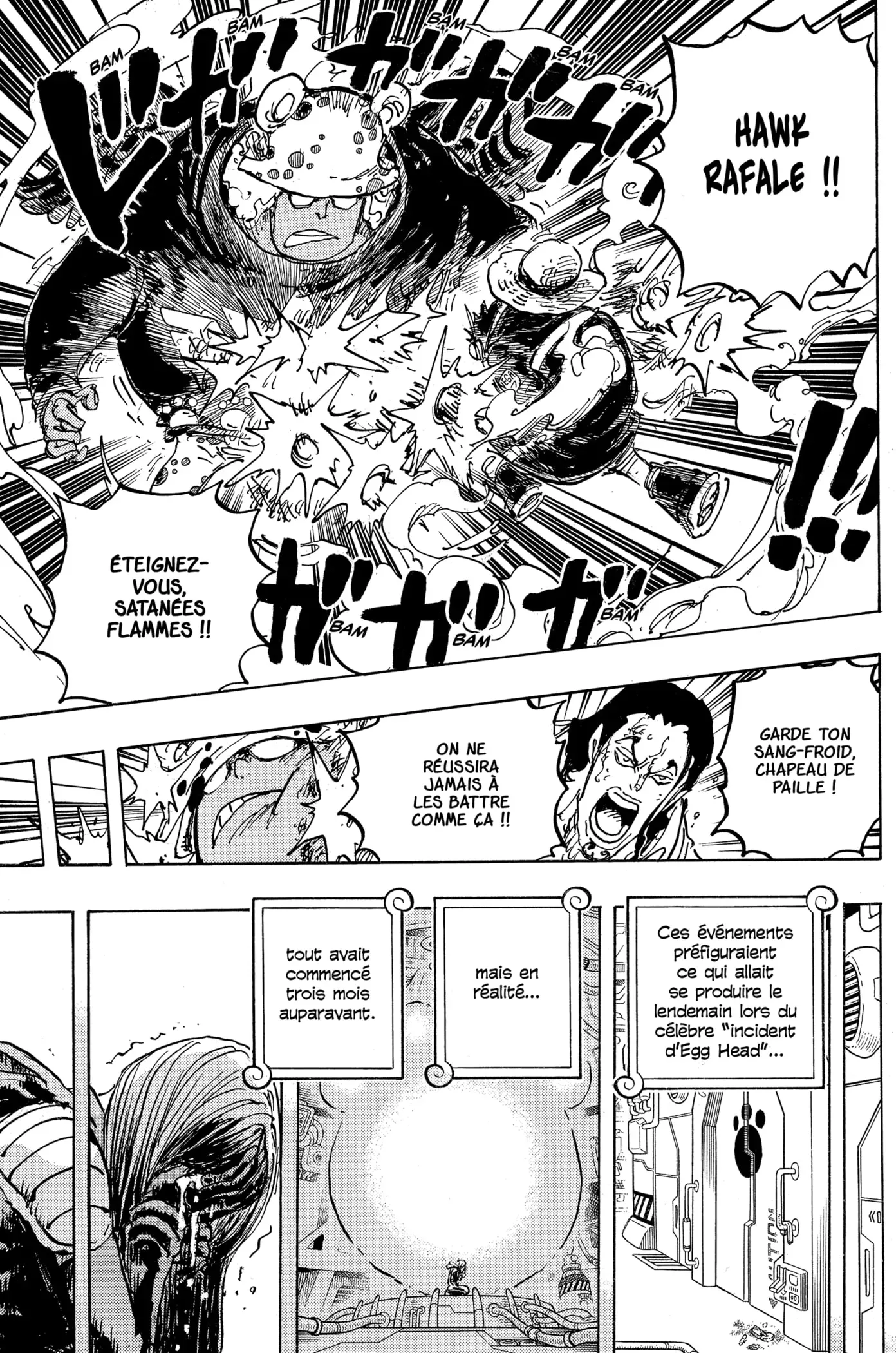 Read One Piece FRANCAIS Manga Online