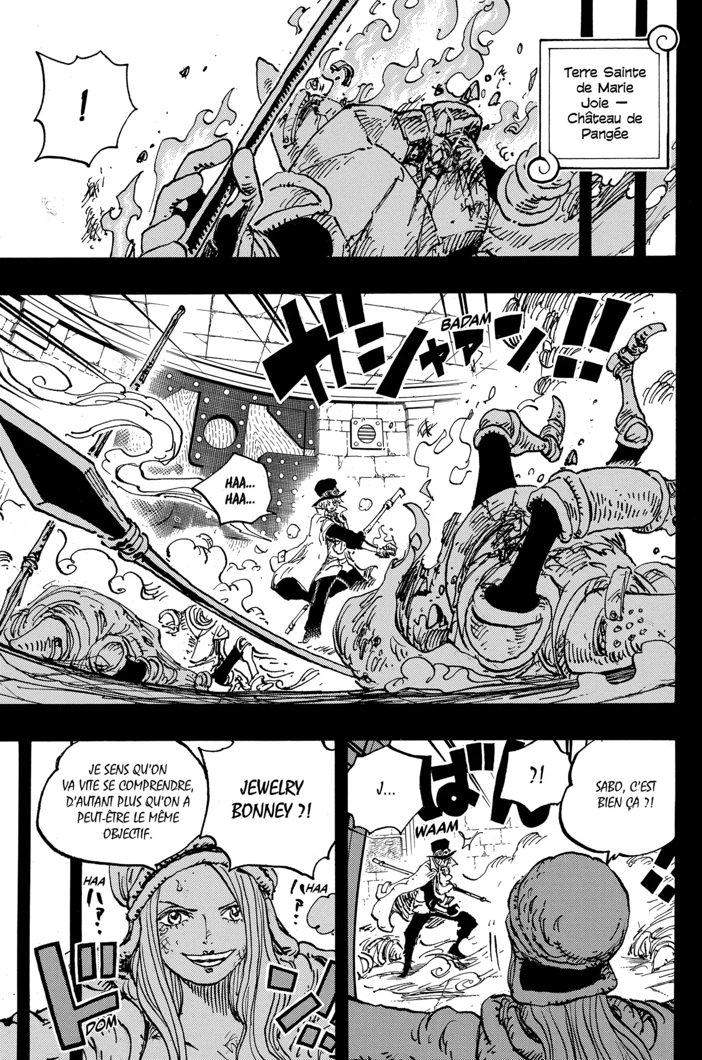 Read One Piece FRANCAIS Manga Online