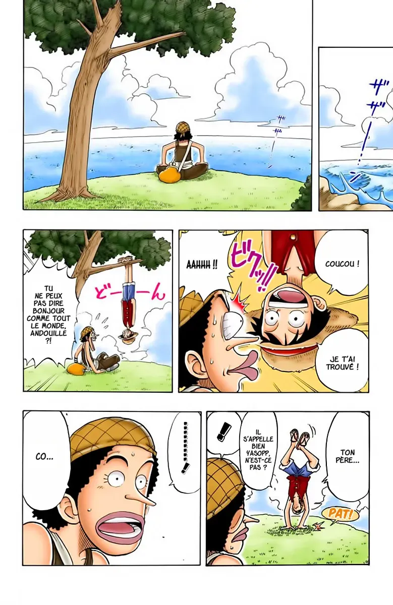 Read One Piece FRANCAIS Manga Online