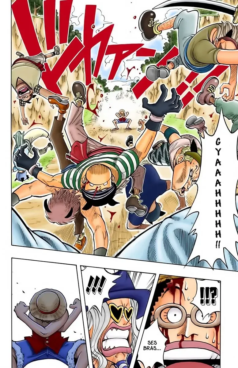 Read One Piece FRANCAIS Manga Online