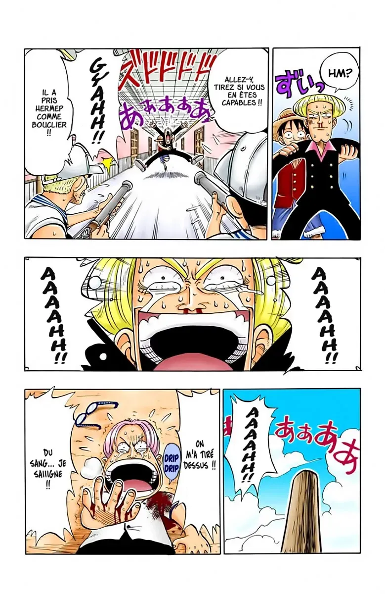 Read One Piece FRANCAIS Manga Online