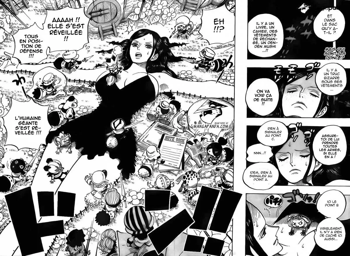 Read One Piece FRANCAIS Manga Online