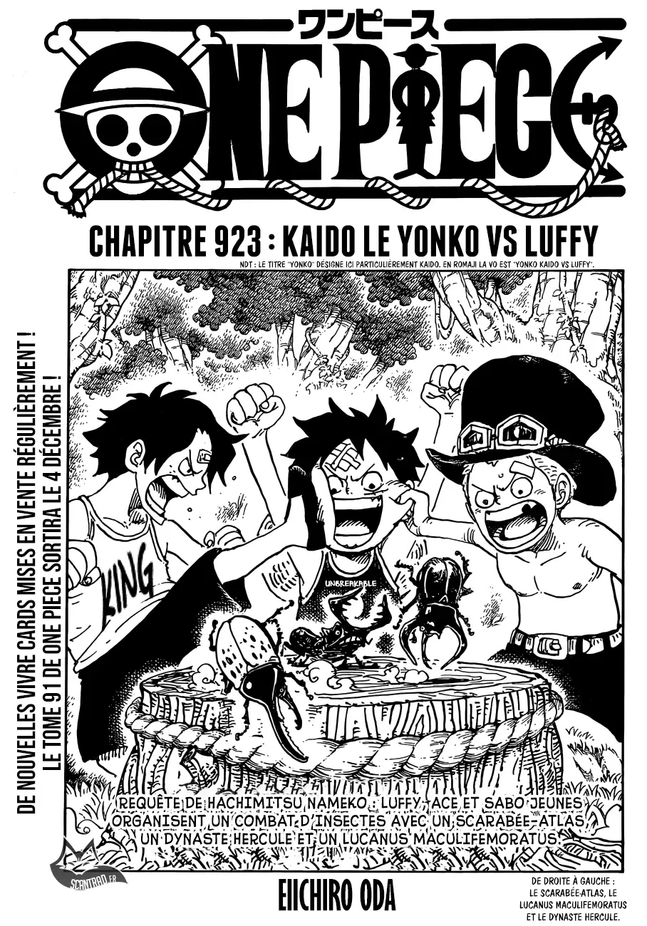 Read One Piece FRANCAIS Manga Online
