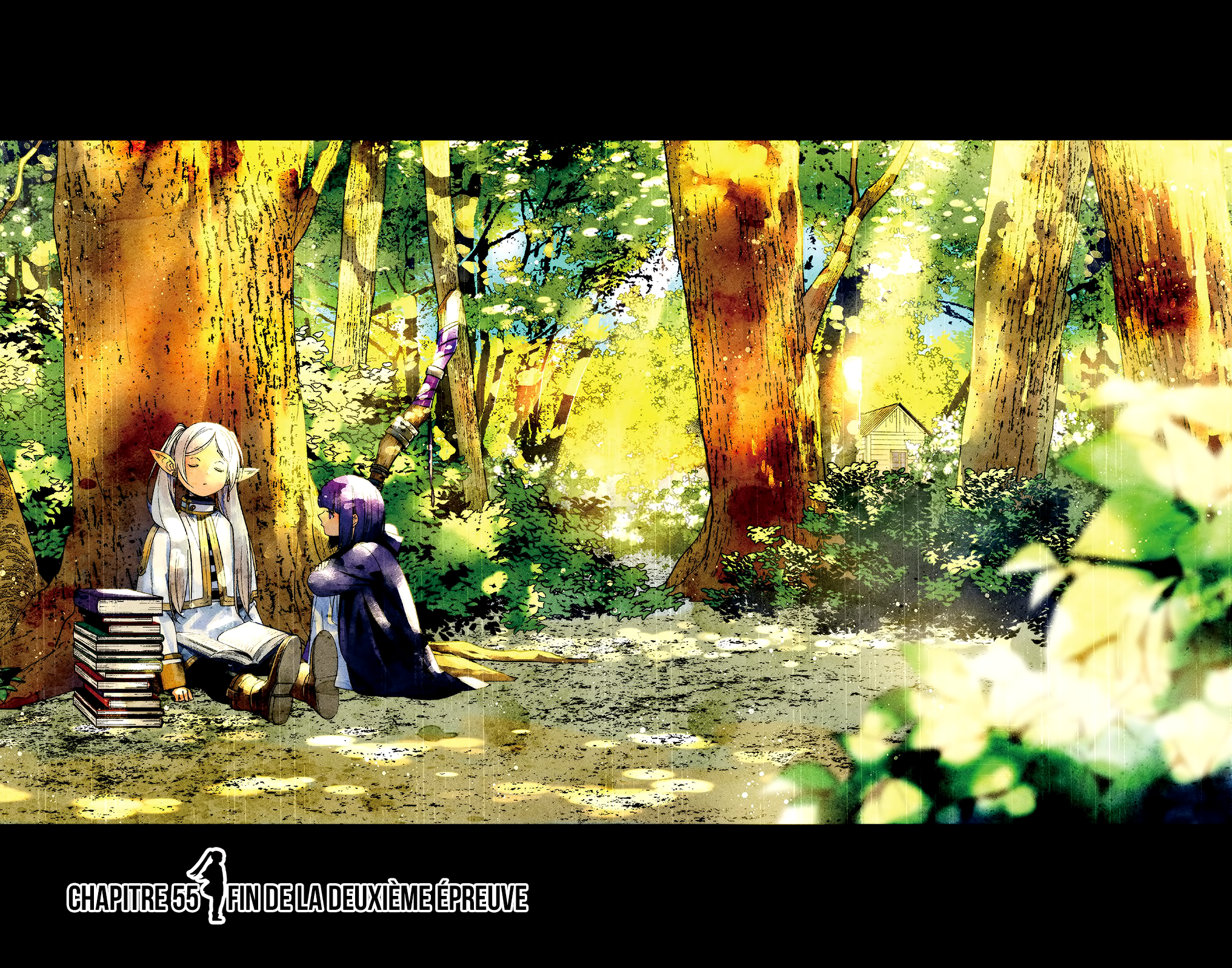 Read Sousou no Frieren FRANCAIS Manga Online