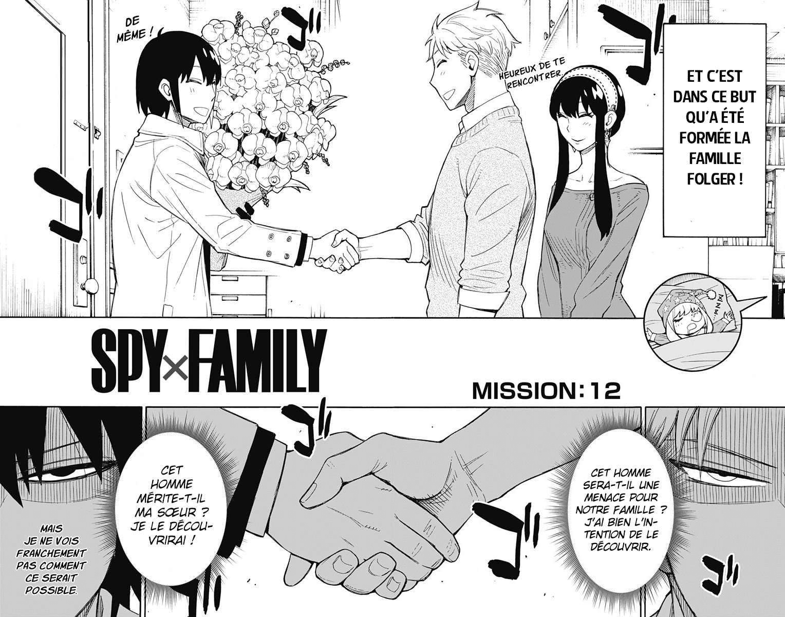 Read Spy X Family FRANCAIS Manga Online