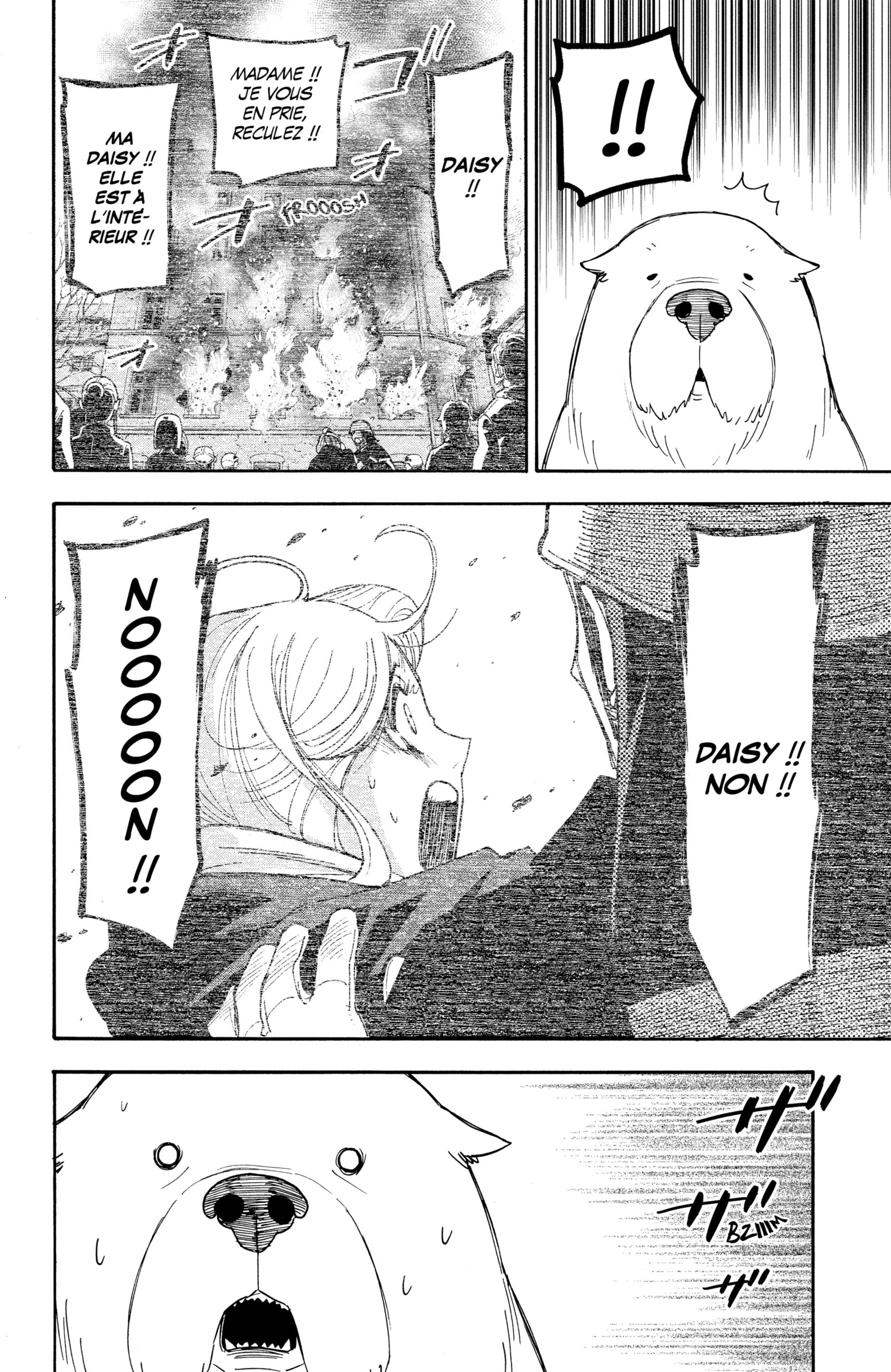 Read Spy X Family FRANCAIS Manga Online