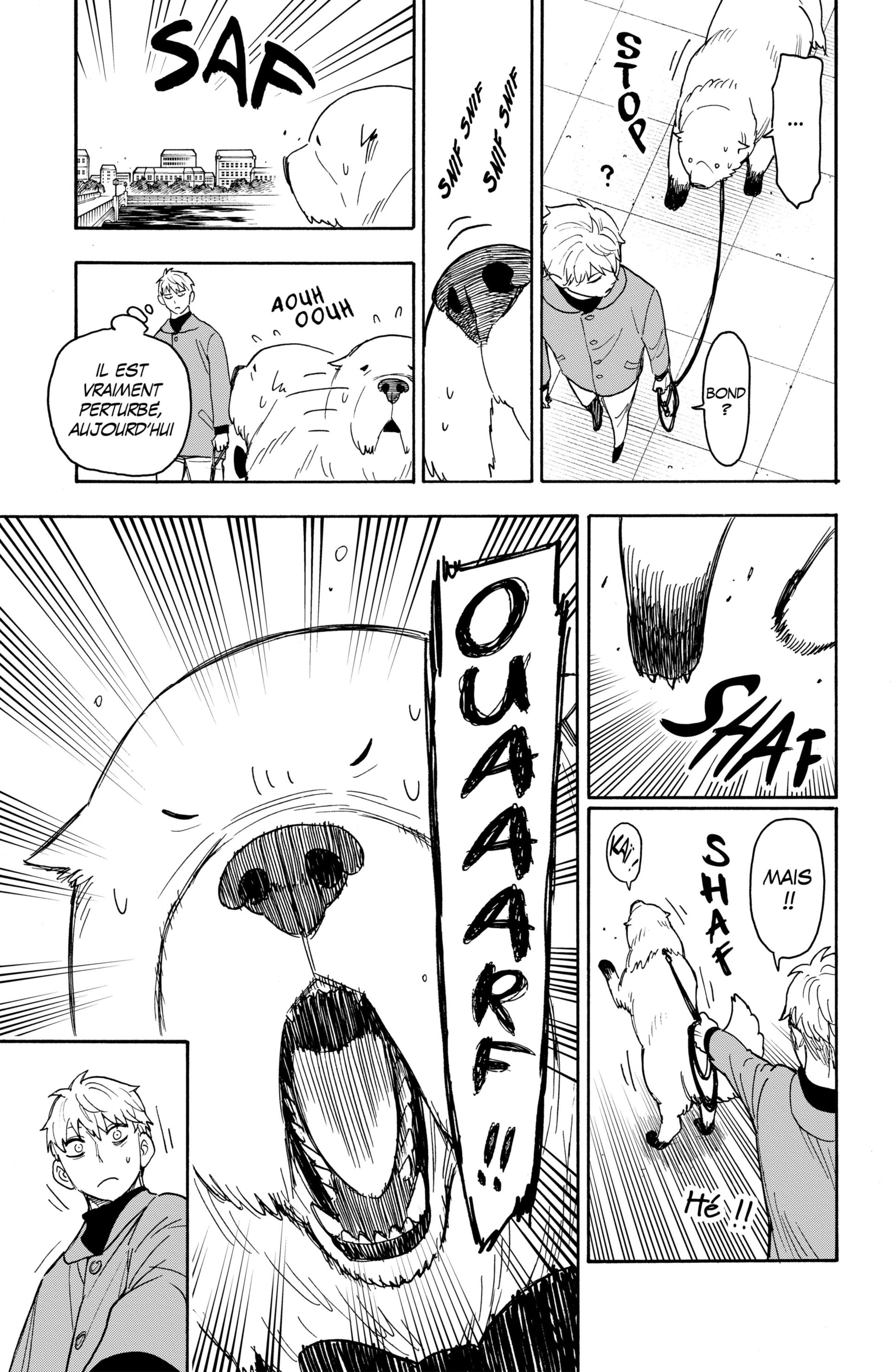 Read Spy X Family FRANCAIS Manga Online