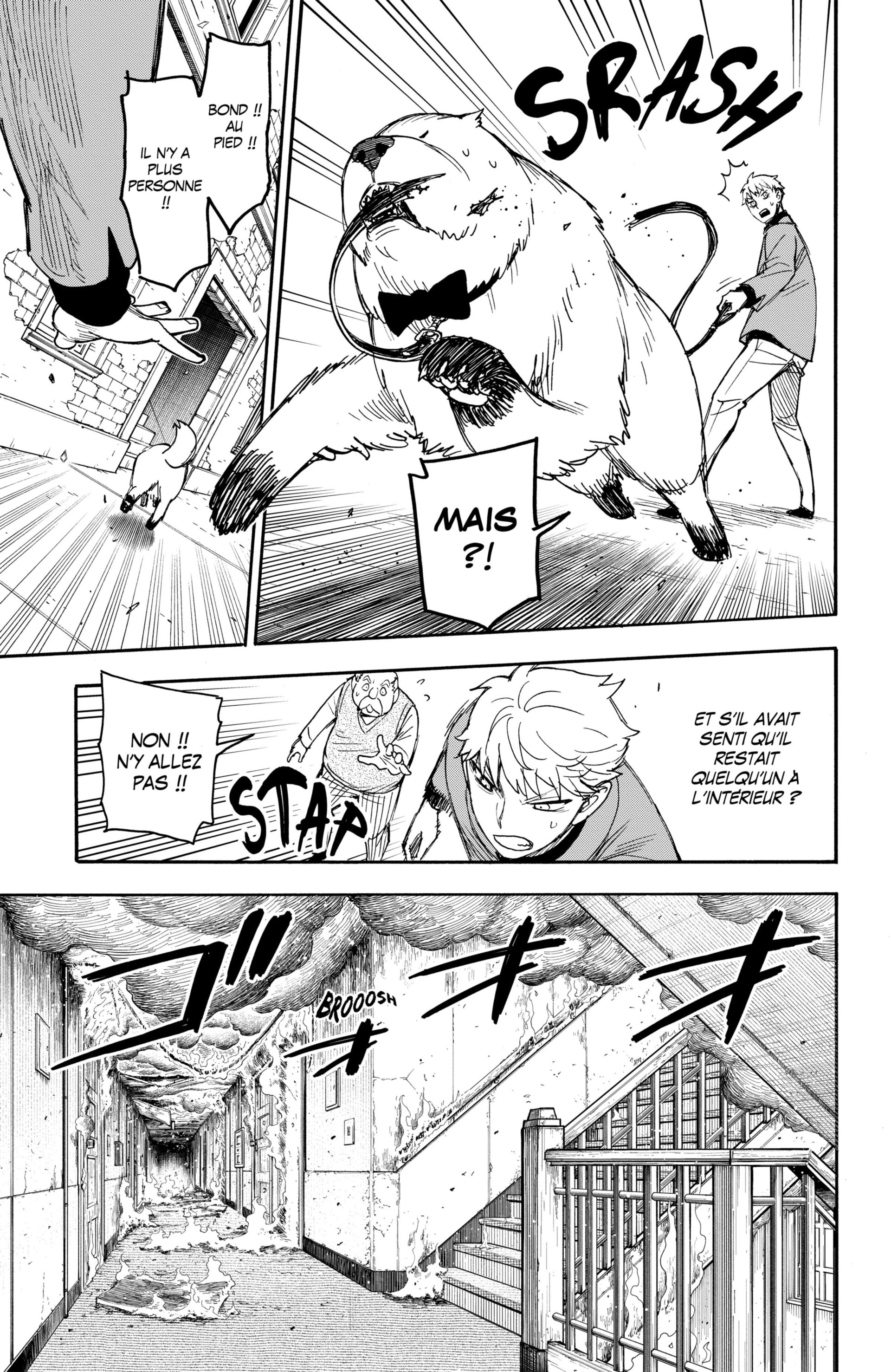 Read Spy X Family FRANCAIS Manga Online