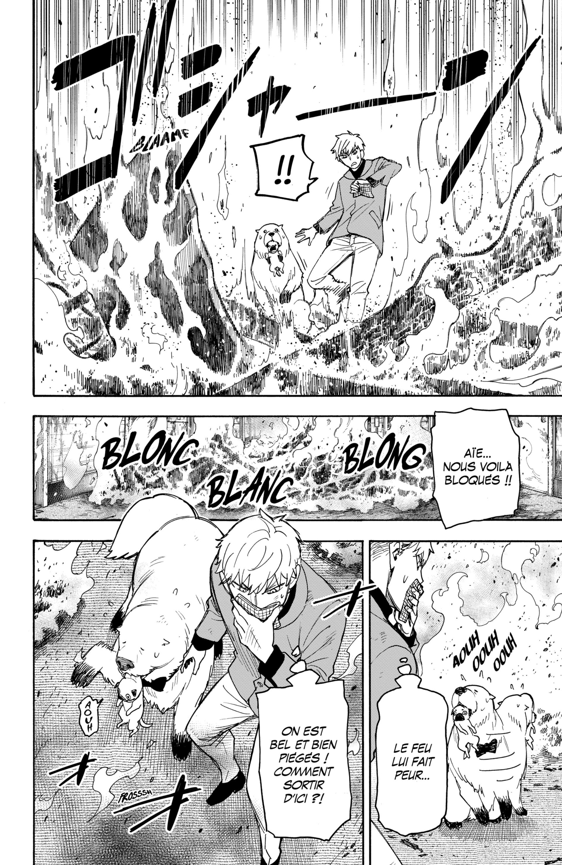 Read Spy X Family FRANCAIS Manga Online