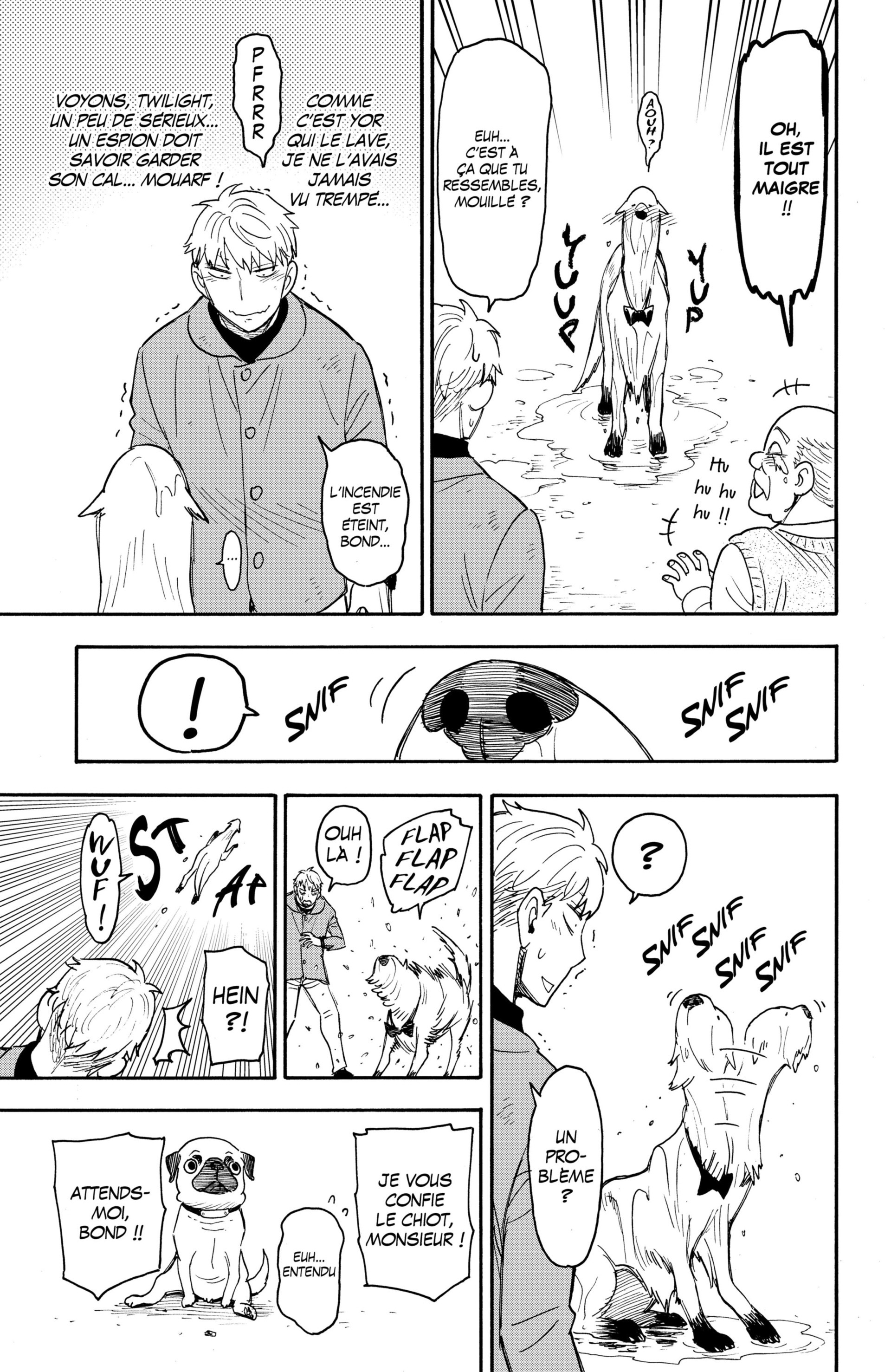 Read Spy X Family FRANCAIS Manga Online