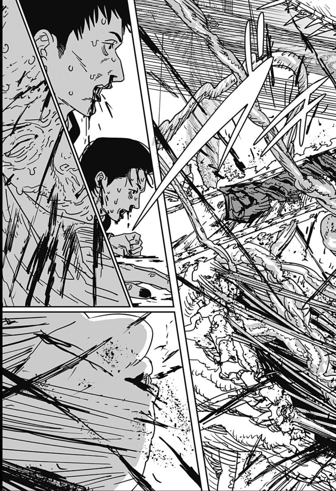 Read Chainsaw Man Português Manga Online