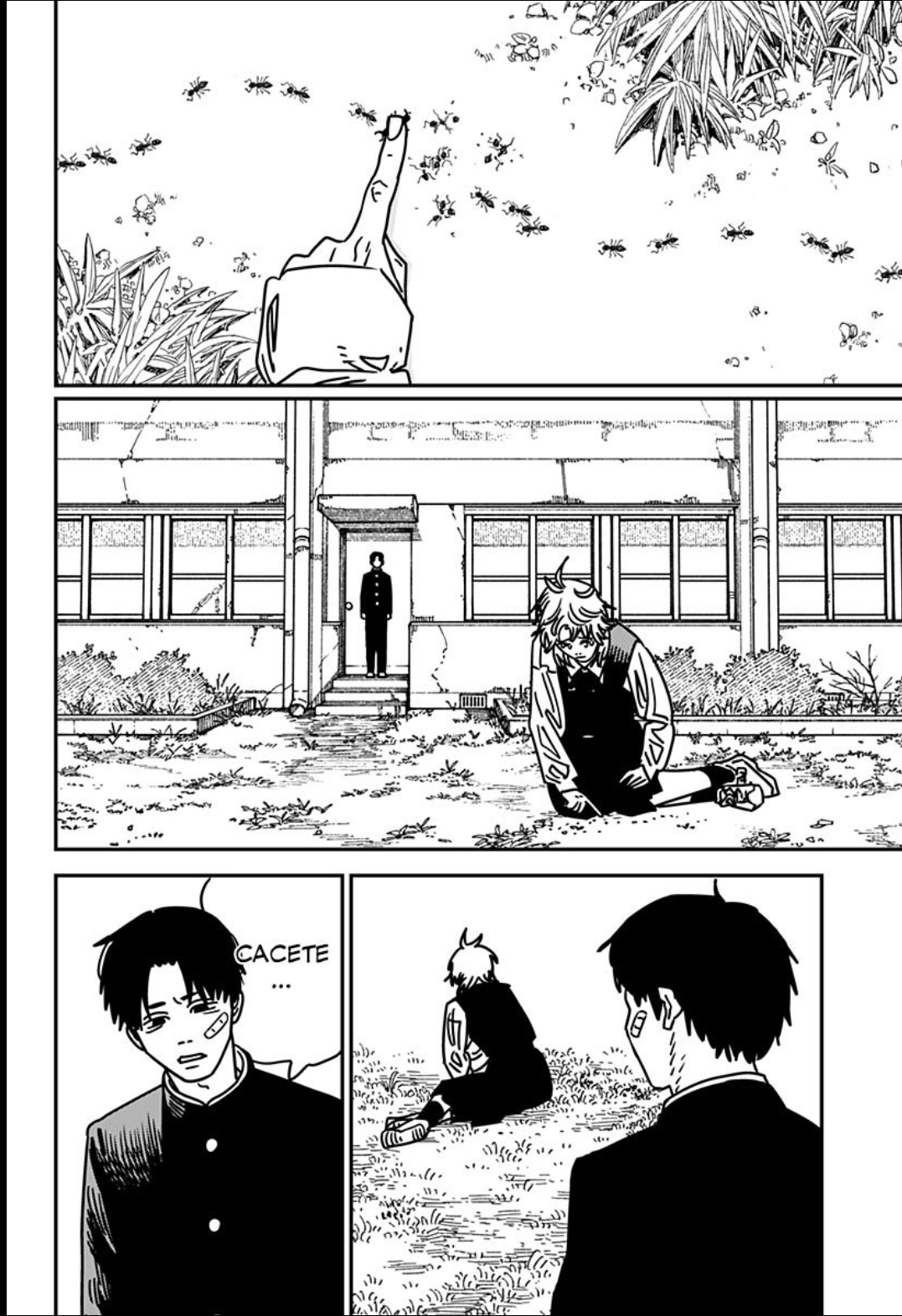 Read Chainsaw Man Português Manga Online