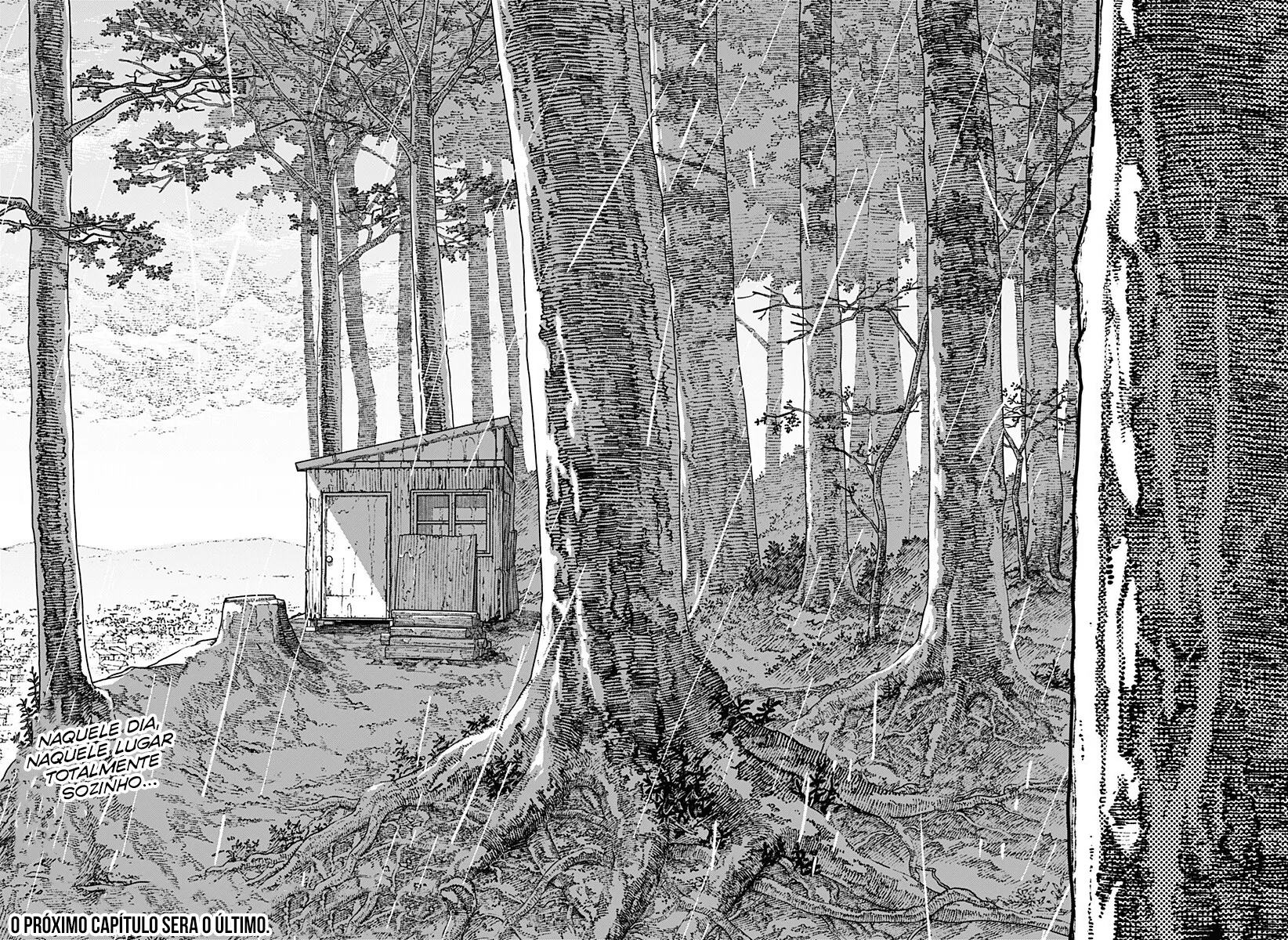 Read Chainsaw Man Português Manga Online