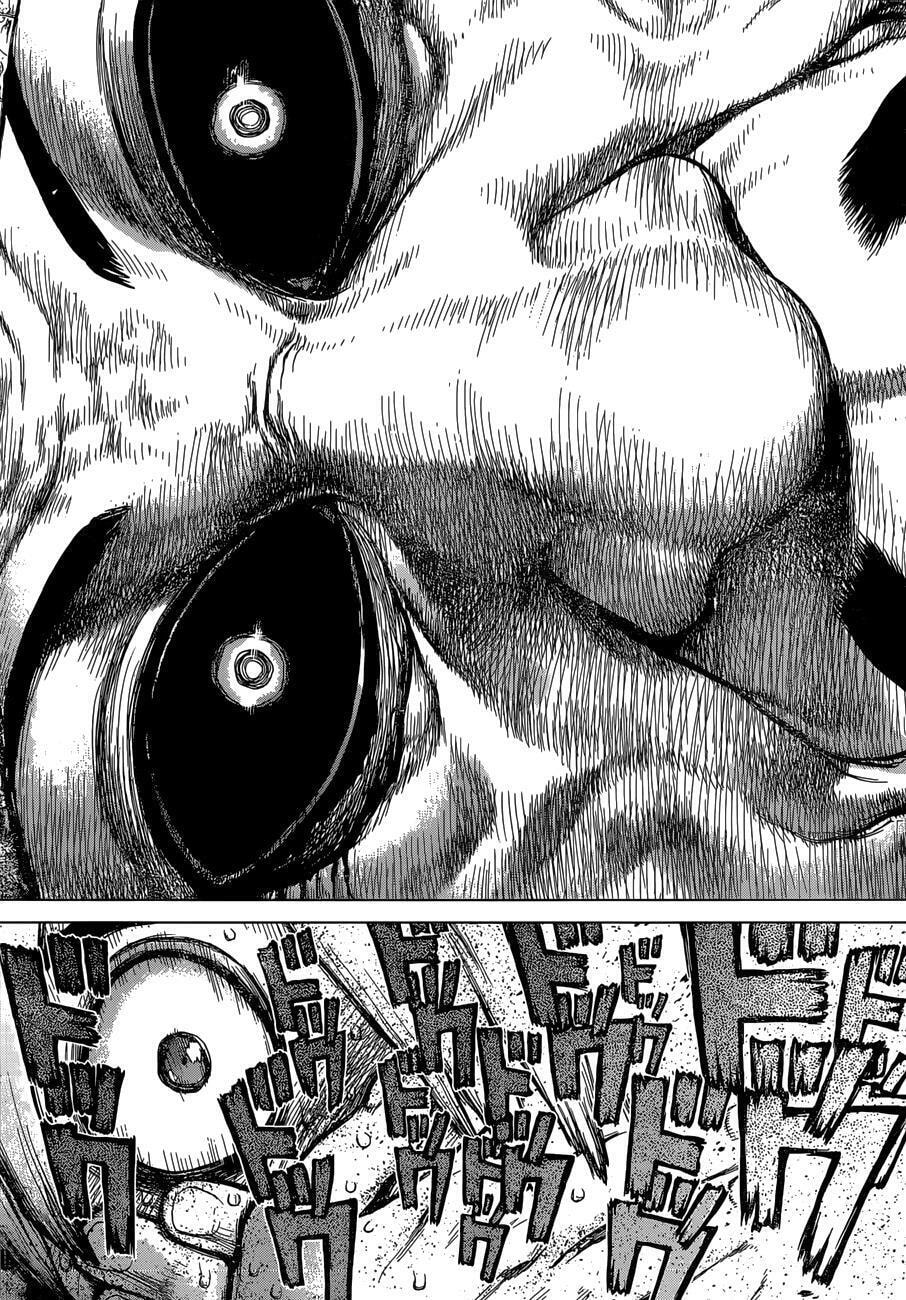 Read Dr. Stone Português Manga Online