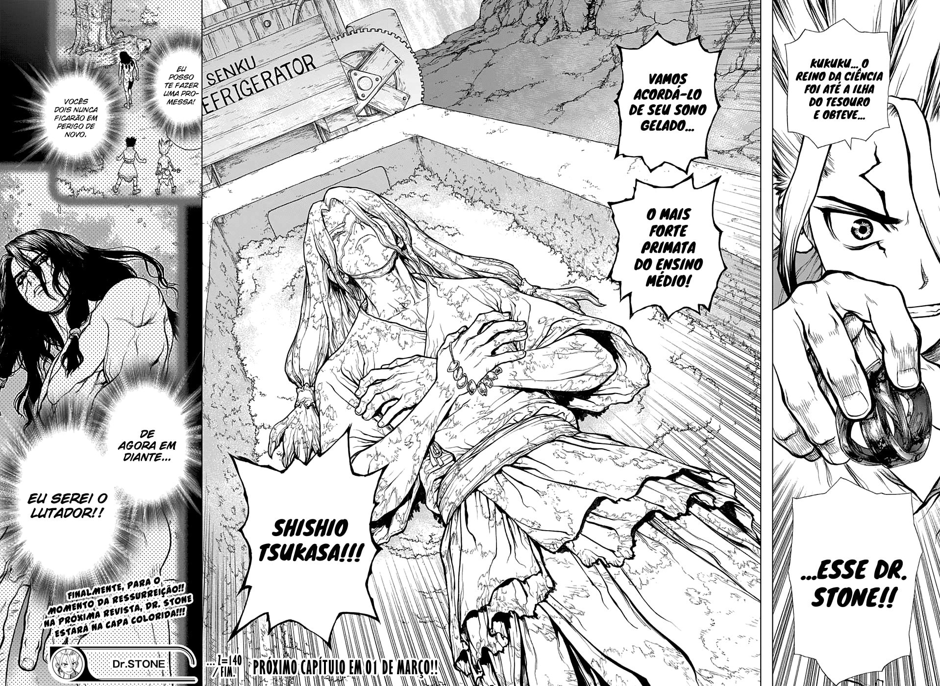 Read Dr. Stone Português Manga Online
