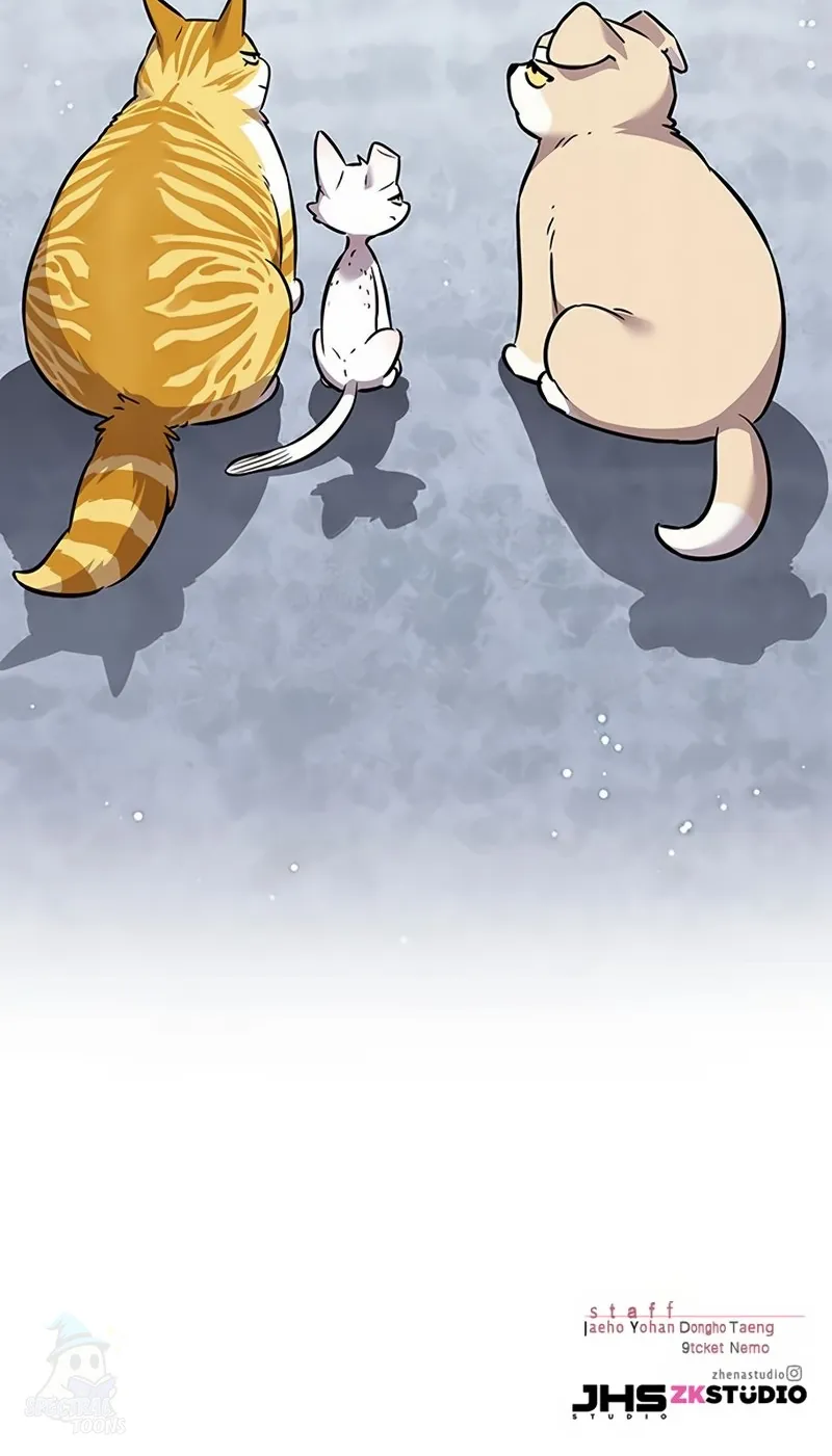 Read Eleceed Português Manga Online