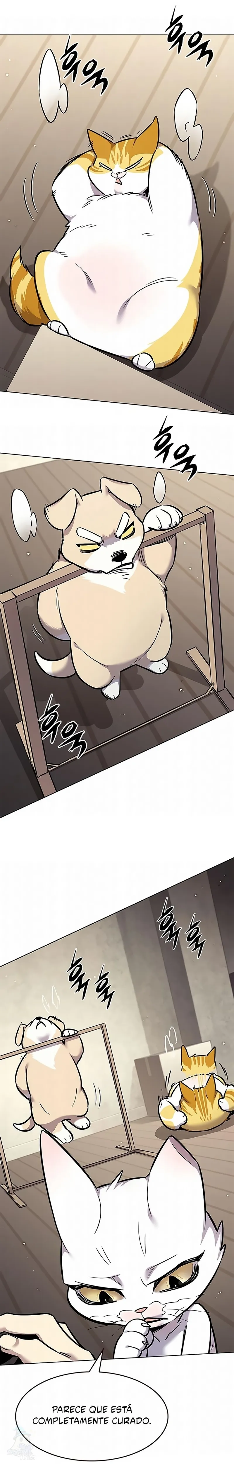 Read Eleceed Português Manga Online