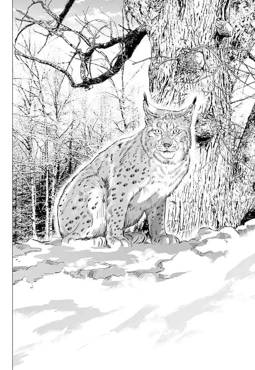 Read Golden Kamuy Português Manga Online