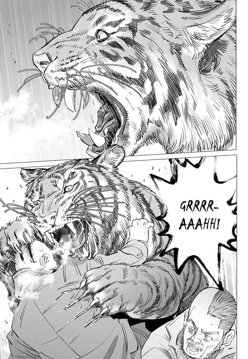 Read Golden Kamuy Português Manga Online