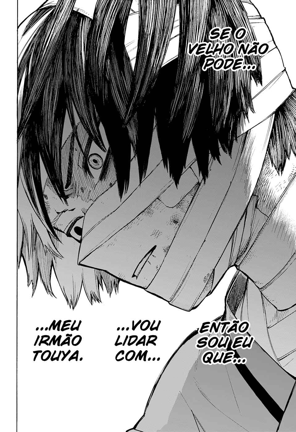 Read My Hero Academia Português Manga Online