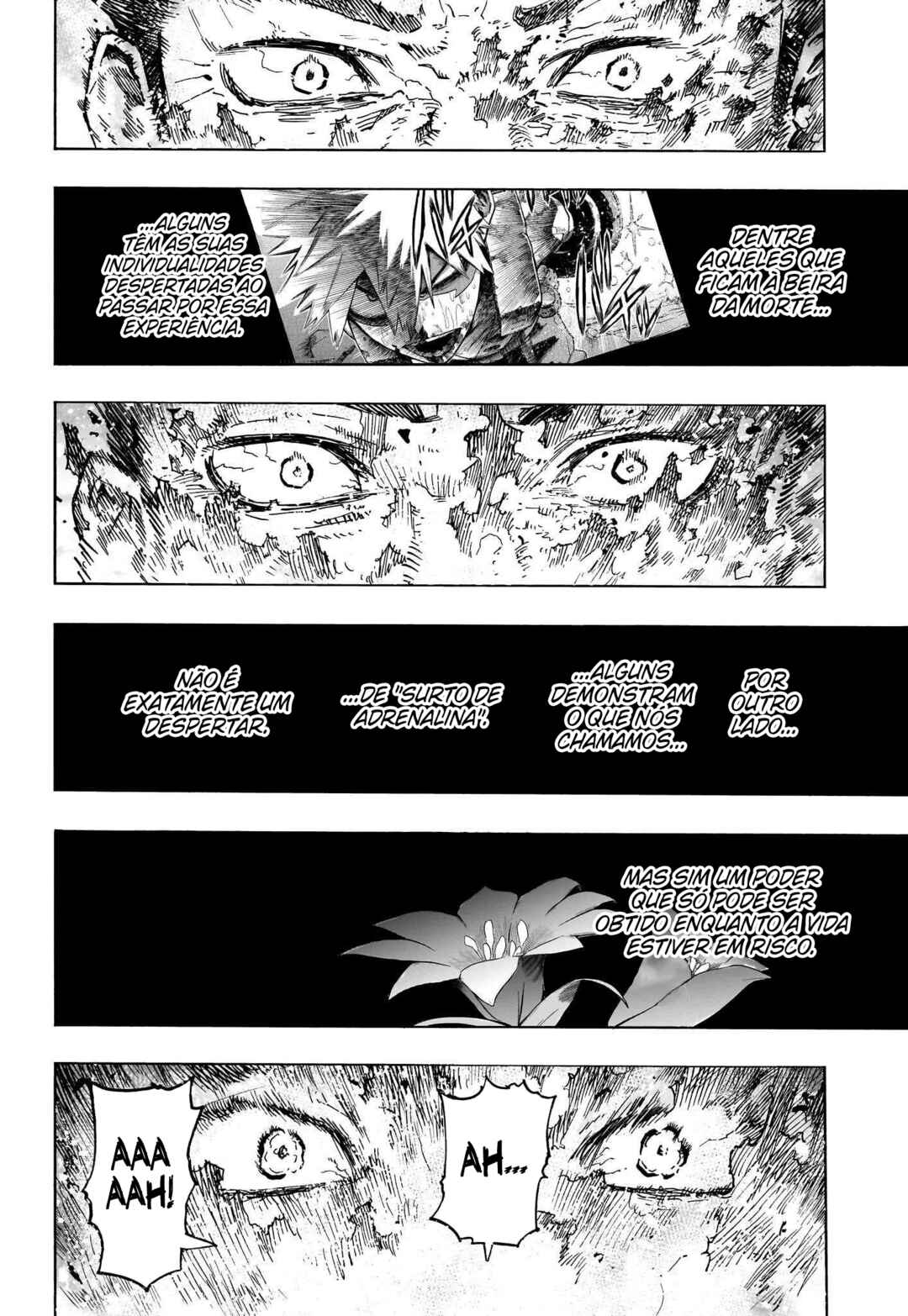 Read My Hero Academia Português Manga Online