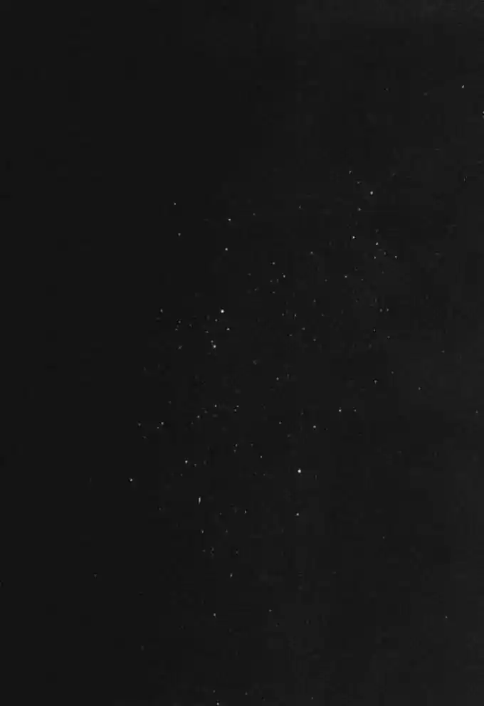 Read Real Português Manga Online