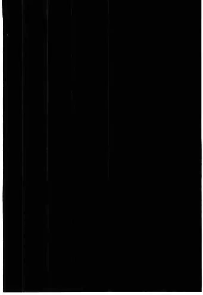 Read Real Português Manga Online