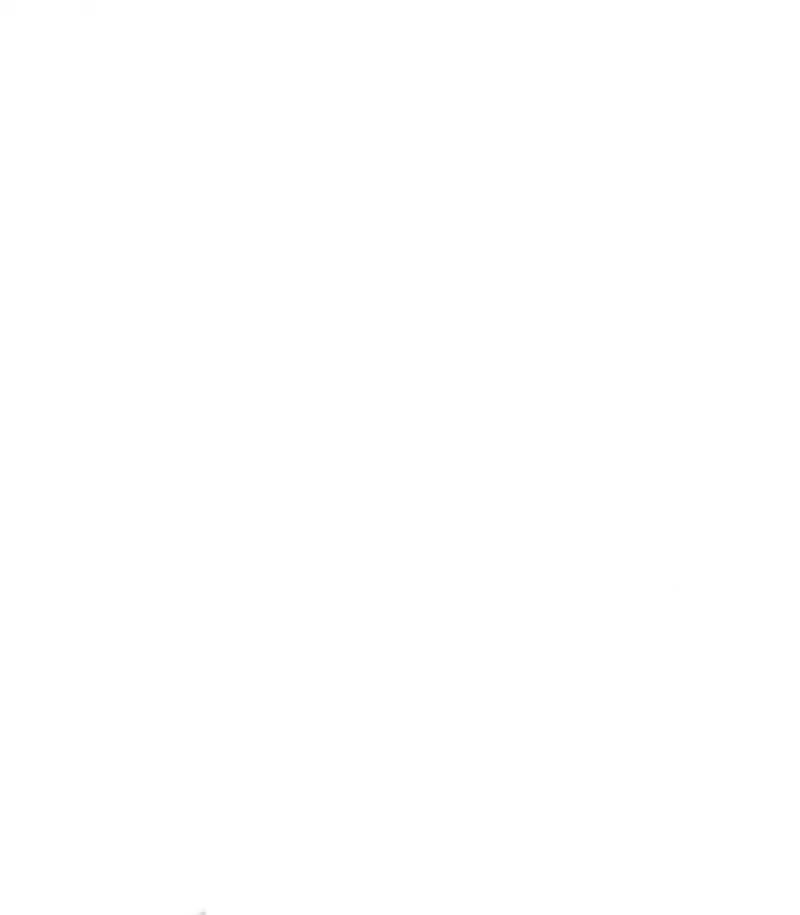 Read Teenage Mercenary Português Manga Online