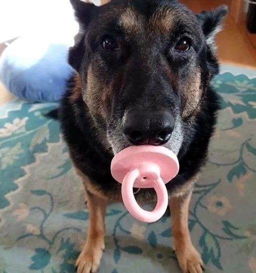 Read Teenage Mercenary Português Manga Online