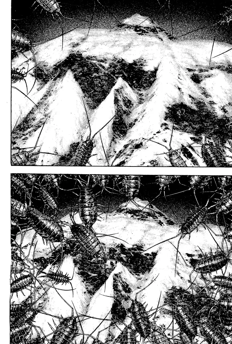 Read The Climber Português Manga Online