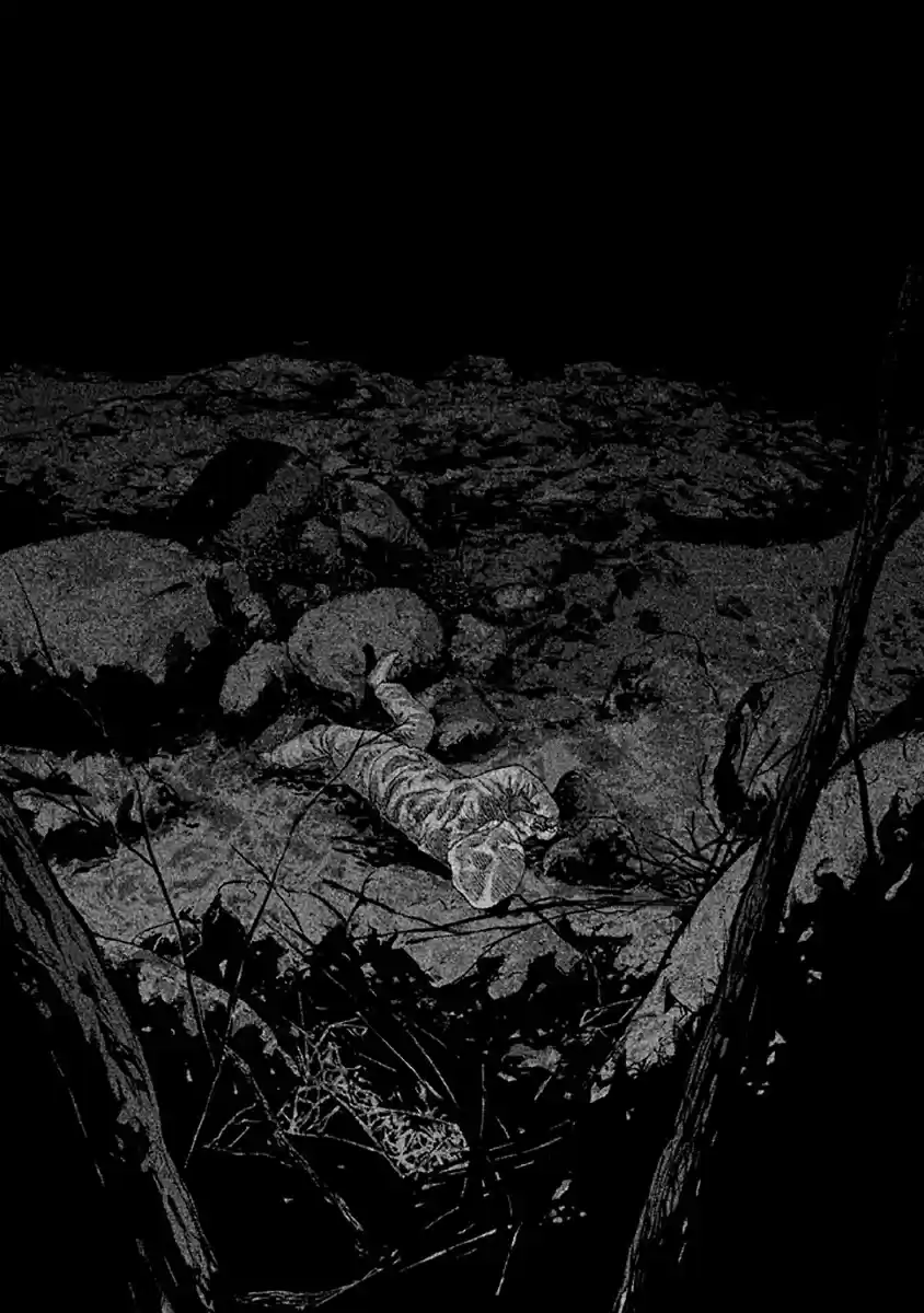 Read The Fable Português Manga Online