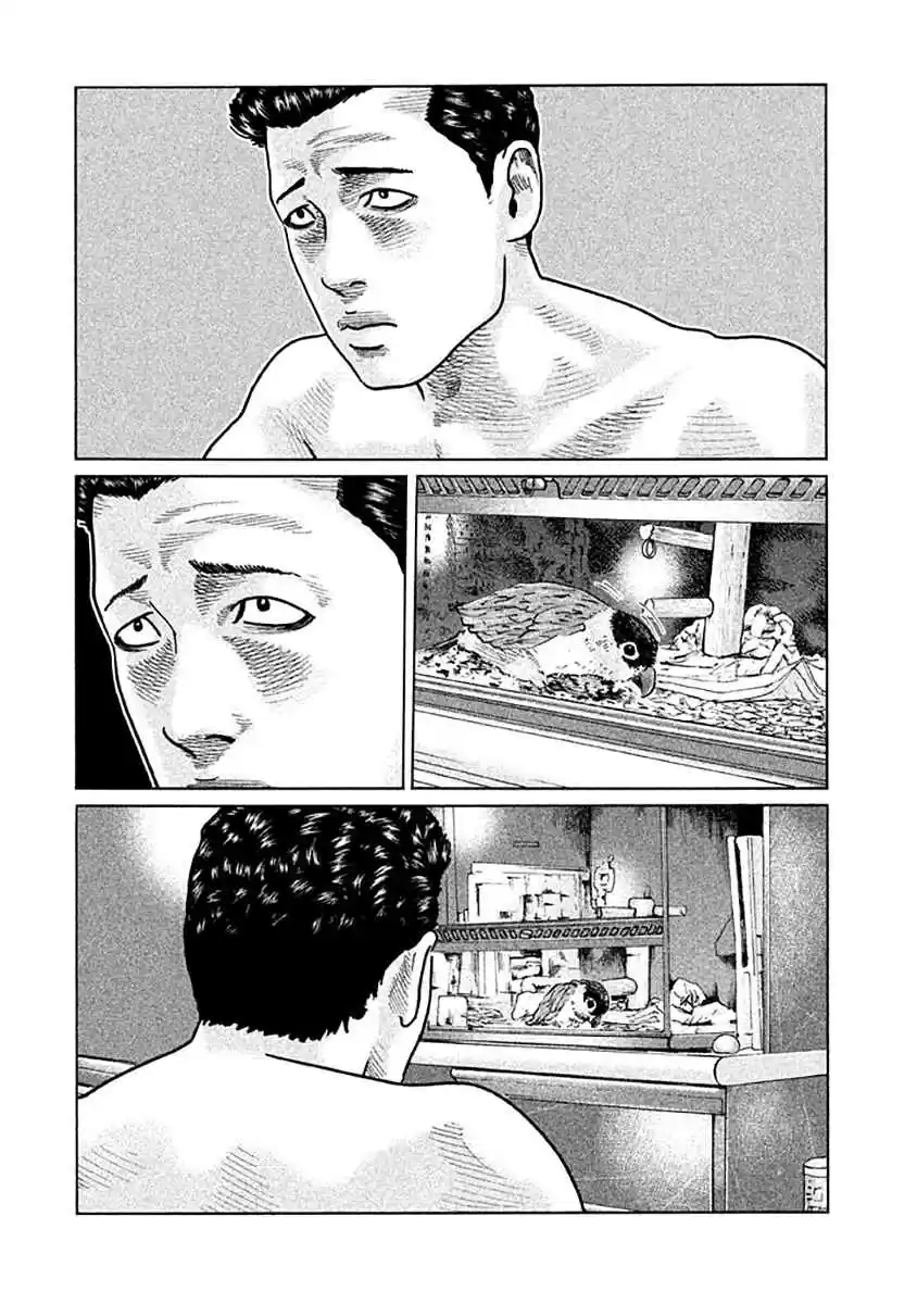 Read The Fable Português Manga Online