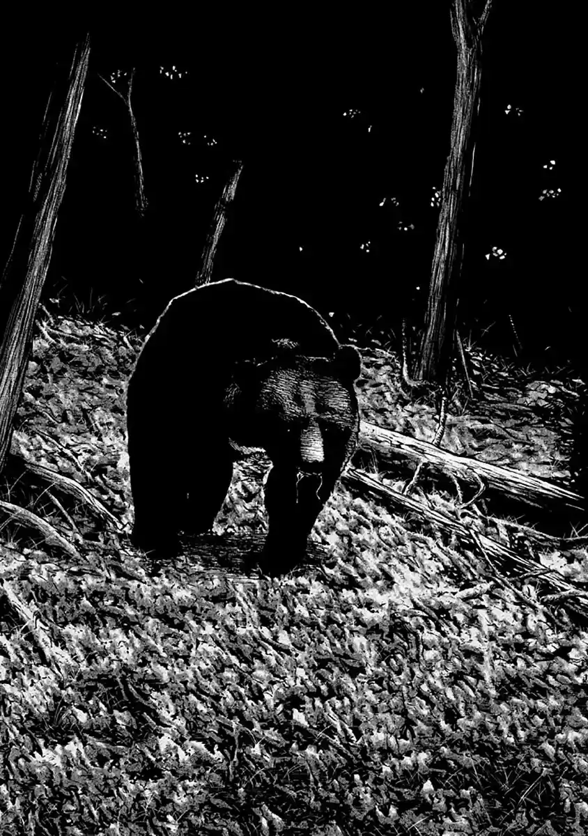 Read The Fable Português Manga Online