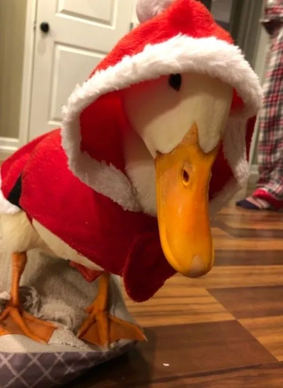 Read The Infinite Mage Português Manga Online