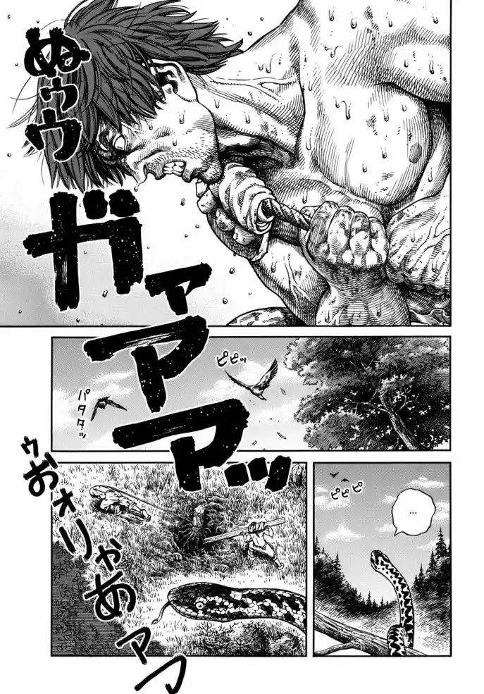 Read Vinland Saga Português Manga Online
