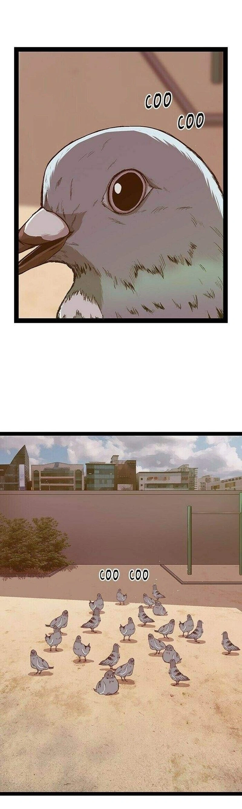 Read Weak Hero Português Manga Online