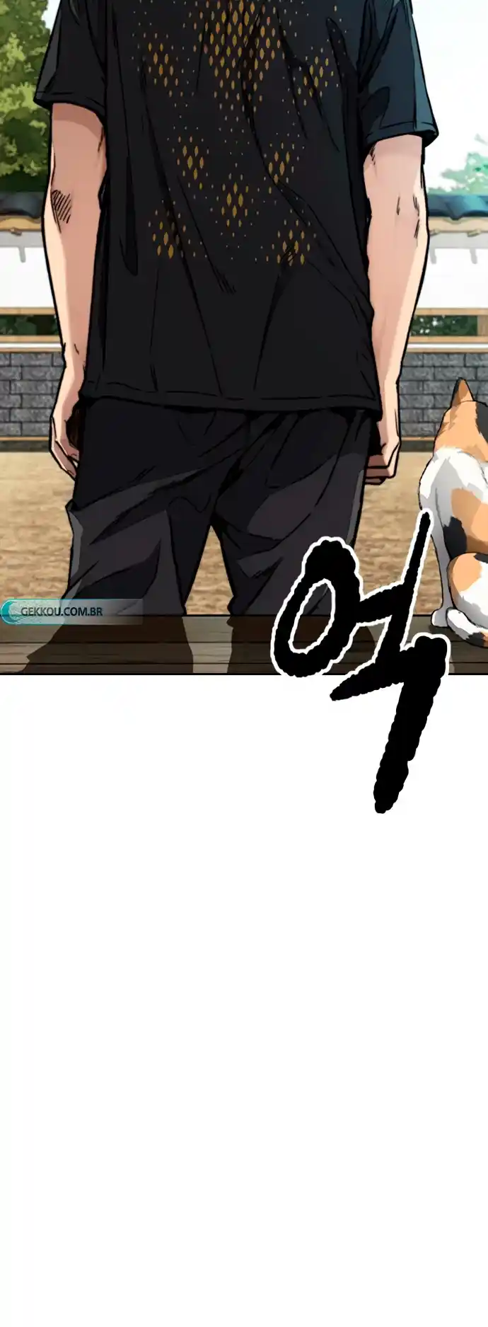 Read Wind Breaker Manhwa Português Manga Online