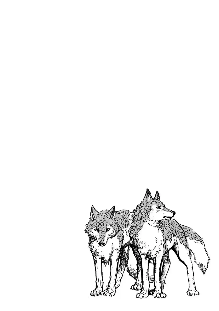 Read Witch Hat Atelier Português Manga Online